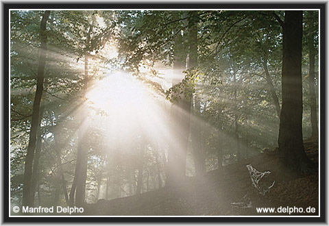 zurck zur Kategorie-bersicht