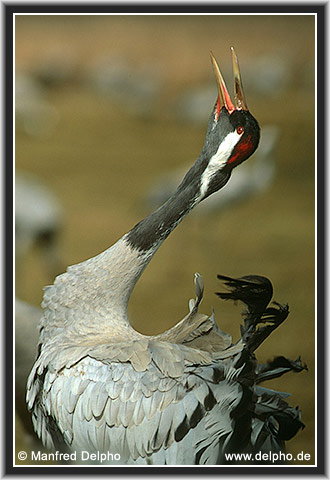 zurck zur Kategorie-bersicht