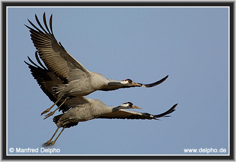 zur�ck zur Kategorie-�bersicht