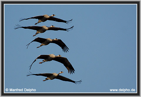 back to the Category Overview