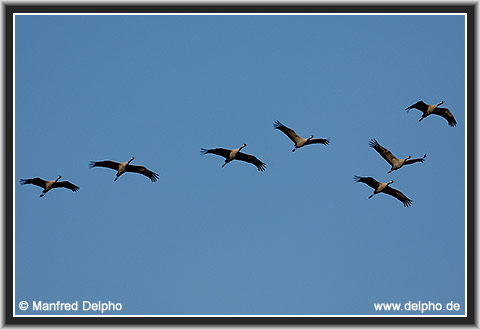 zurck zur Kategorie-bersicht
