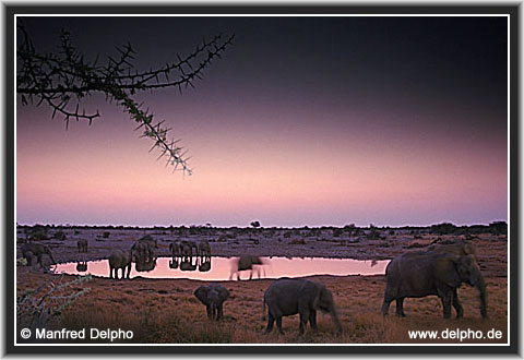 zurck zur Kategorie-bersicht