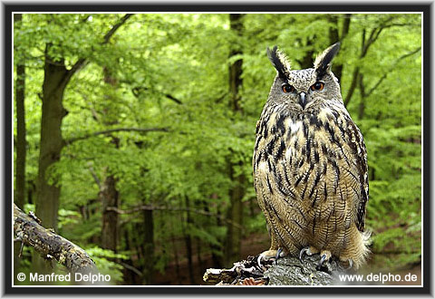 zurck zur Kategorie-bersicht