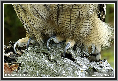 zurck zur Kategorie-bersicht