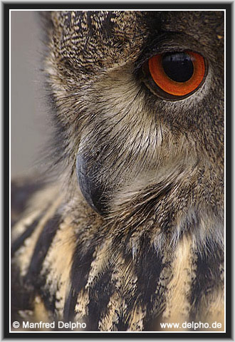 zurck zur Kategorie-bersicht