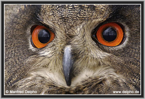 zurck zur Kategorie-bersicht