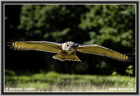 zurck zur Kategorie-bersicht