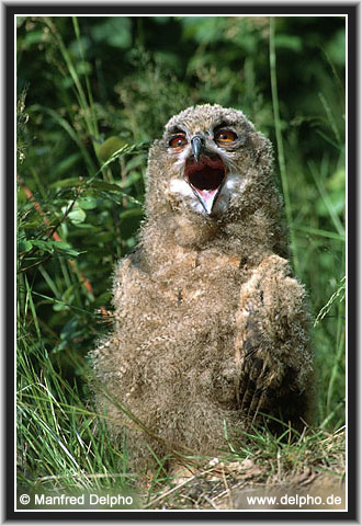 zurck zur Kategorie-bersicht