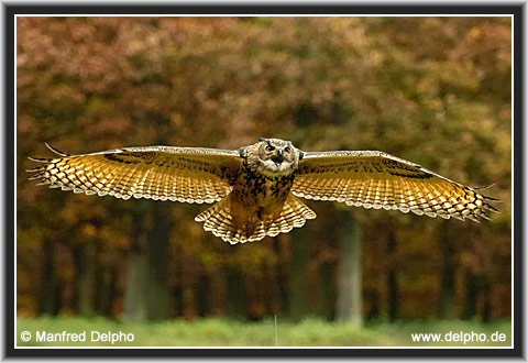 zurck zur Kategorie-bersicht
