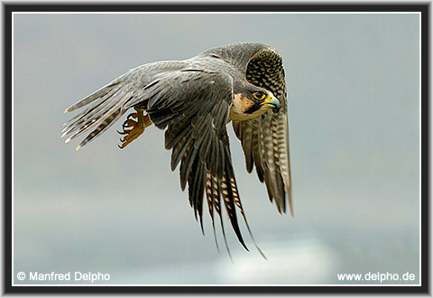 zurck zur Kategorie-bersicht