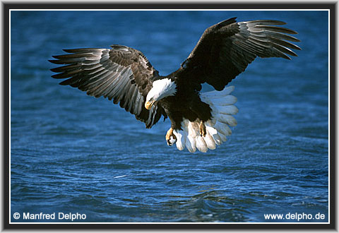 zurck zur Kategorie-bersicht