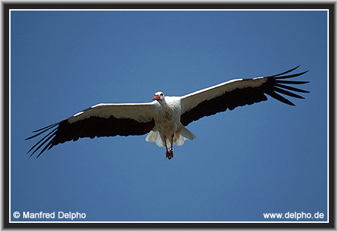 zurck zur Kategorie-bersicht