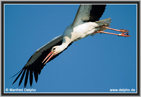 zurck zur Kategorie-bersicht