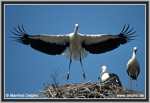 zurck zur Kategorie-bersicht