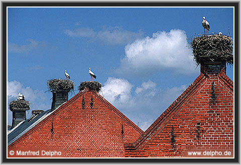 zurck zur Kategorie-bersicht