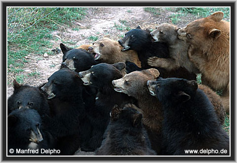 back to the Category Overview