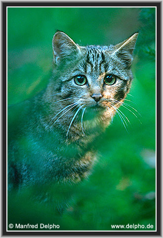 zurck zur Kategorie-bersicht