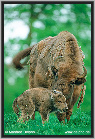 zurck zur Kategorie-bersicht
