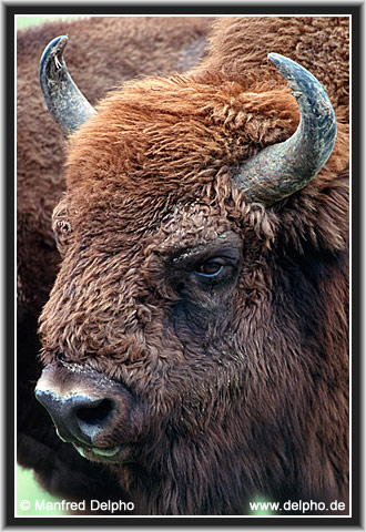 zurck zur Kategorie-bersicht