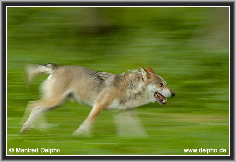 zur�ck zur Kategorie-�bersicht