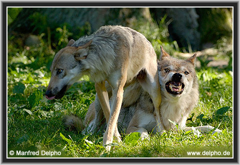 zur�ck zur Kategorie-�bersicht