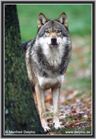 back to the Category Overview