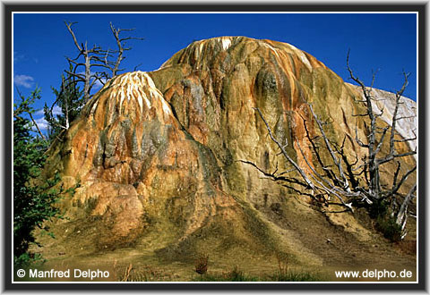 zurck zur Kategorie-bersicht