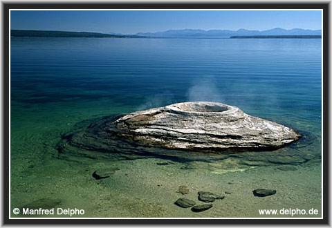 zurck zur Kategorie-bersicht
