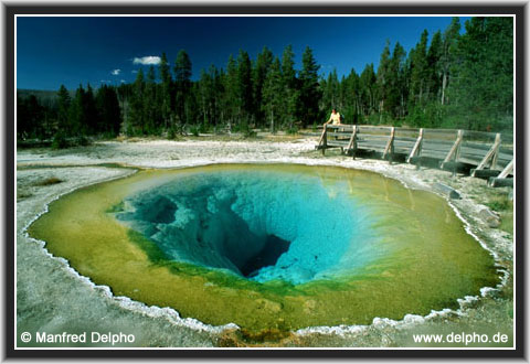 zurck zur Kategorie-bersicht