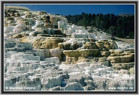 zurck zur Kategorie-bersicht