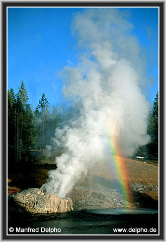 back to the Category Overview