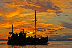 Fischerboot, Ilulissat-Eisfjord  Diskobucht, Grnland