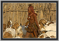 Himba  Nomads of Namibia