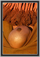 Himba  Nomaden Namibias