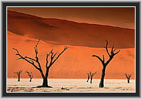 Dead Vlei, Namib