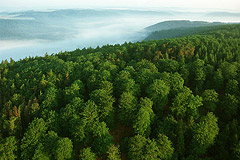 Der Nationalpark aus der Luft betrachtet