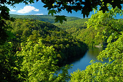 Durch ein Waldfenster auf den Nationalpark geschaut