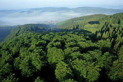 Blick aus einem Heiluftzeppelin