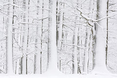 Nach dem Schneesturm