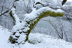 Winter an der Wooghlle