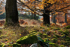 Herbstzauber