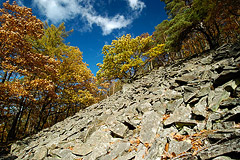 Blockhalde am Daudenberg