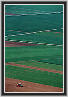 Agrarsteppe