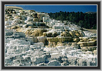 Mammoth Hot Springs