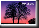 Der Baum